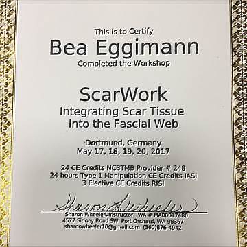 Certificate ScarWork